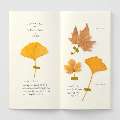 TRAVELER'S notebook Regular-size Refill 025 Blank MD Paper Cream