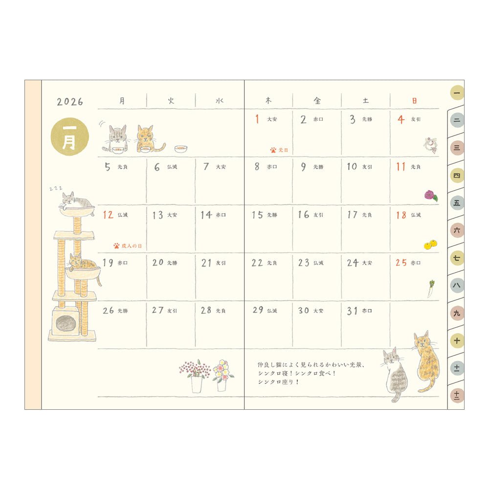 Midori Sayo Koizumi Mini Cat Monthly 2026 Pocket Planner