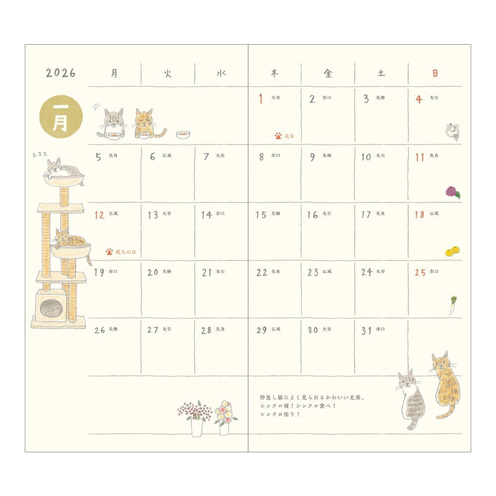 Midori Sayo Koizumi Slim Cat Monthly 2026 Pocket Planner