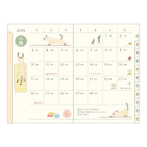 Midori Sayo Koizumi Mini Cat Monthly 2025 Pocket Planner