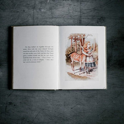Paperblanks Lewis Carroll, Alice in Wonderland Mini 4 x 5.5 Inch Journal