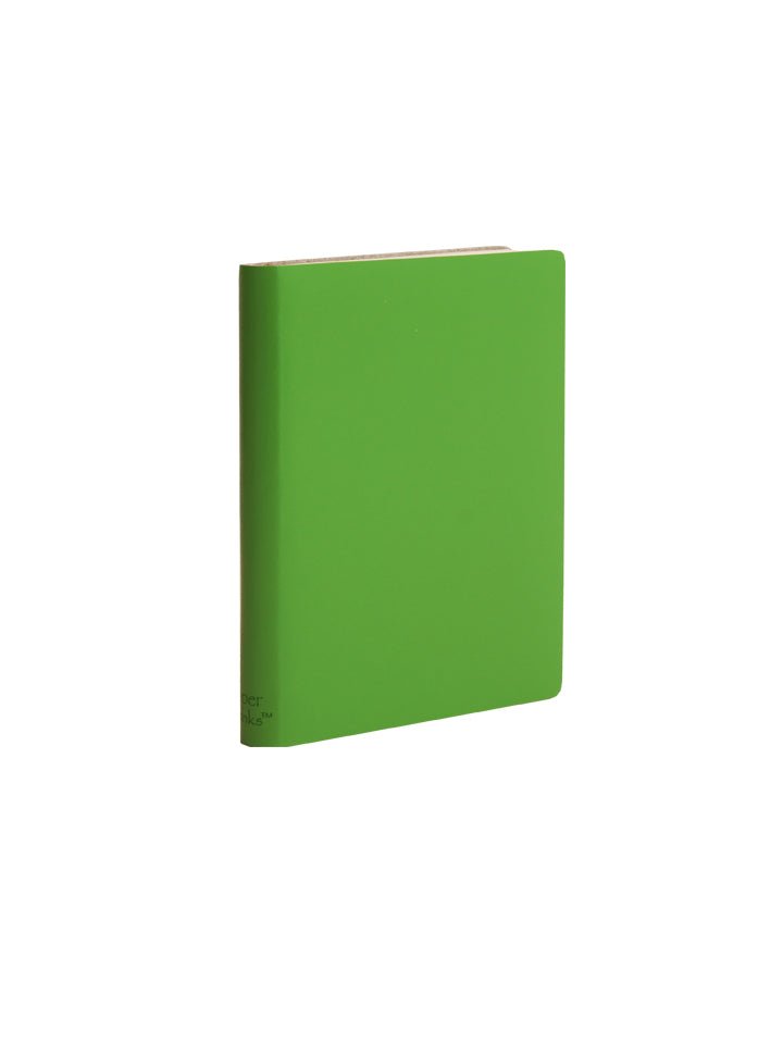 Paperthinks Recycled Leather Pocket Notebook Mint