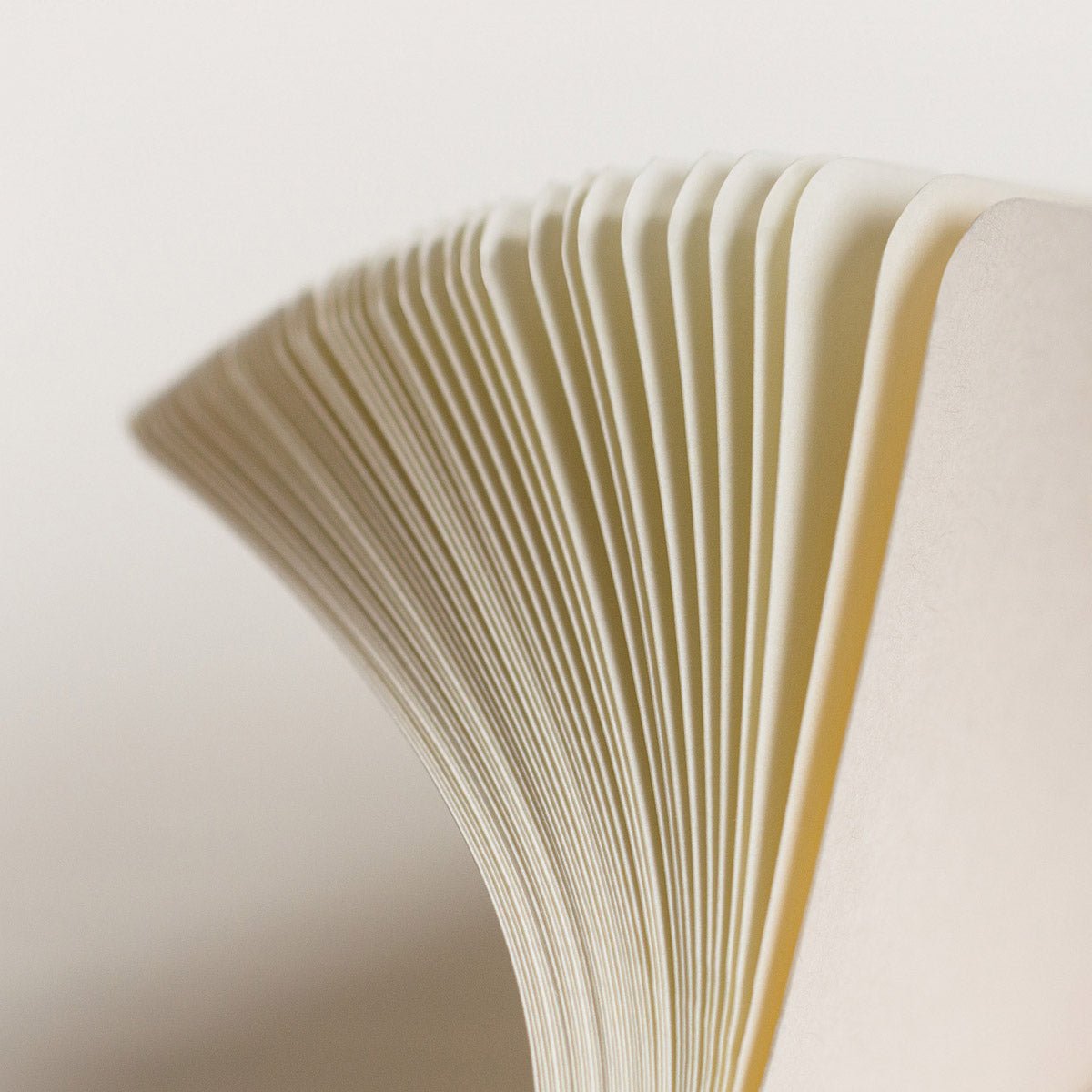 Leuchtturm1917 Bullet Journal Nordic Blue